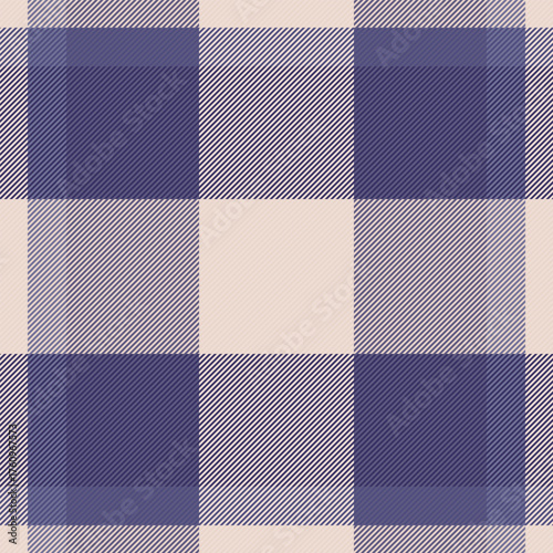 Mature textile fabric pattern, veil texture background plaid. Dye seamless vector tartan check in indigo and light colors.