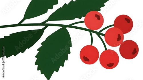 Red berries on green branch