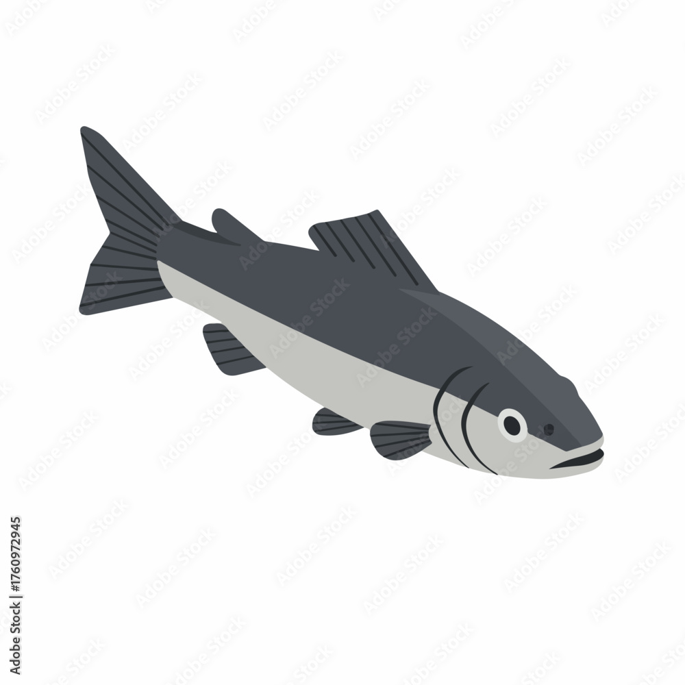 Obraz premium Minimalist Flat Style Realistic Trout Swimming Underwater Animal Illustration