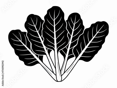 Elegant Black and White Swiss Chard Illustration Fresh and Healthy Vegetable Graphics for Culinary Projects and Nutrition Resources