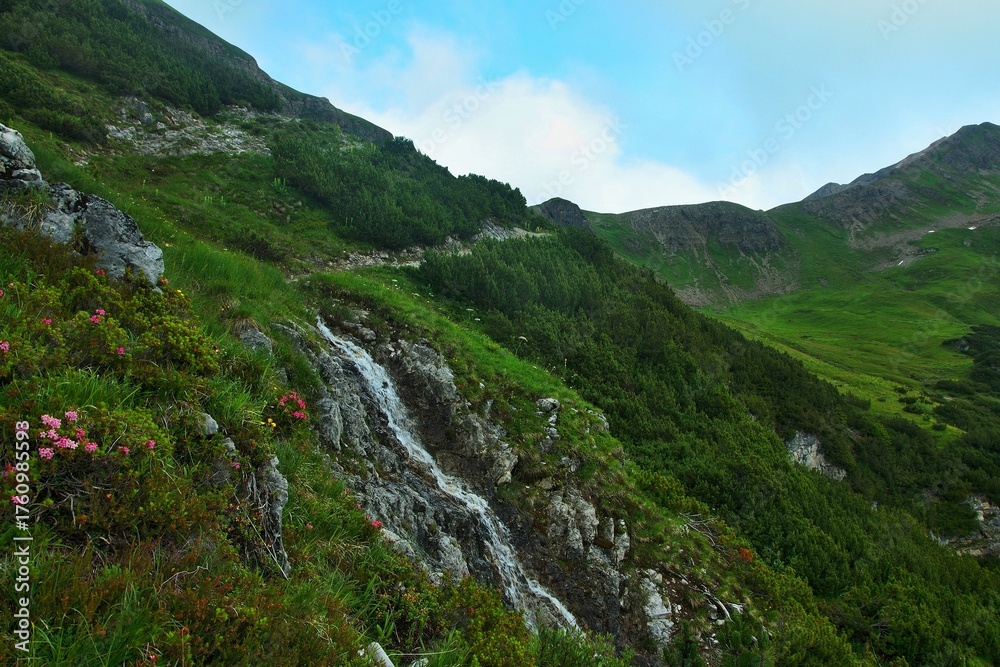 Naklejka premium Austrian Alps - view of the Pazüelbach stream near the village of Zürs in the Lechtal Alps