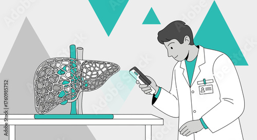Doctor examining 3D printed liver model with smartphone for medical analysis research