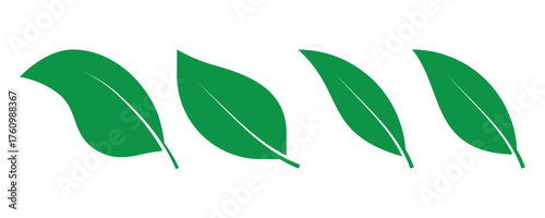 Green leaf icons set. Leaves icon on isolated background. Collection green leaf. Elements design for natural, eco, vegan, bio labels.