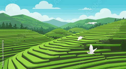 Lush green terraced rice fields nestled among rolling mountains under a bright clear sky, with white birds flying gracefully, showcasing a serene agricultural landscape.
