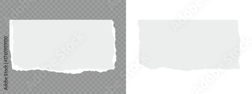 Torn notebook page or scrap note with damaged border. Torn paper strips set.White ripped paper collection. Set of white torn or ripped paper sheet. Sticky newspaper clip art. Set of torn paper sheets.