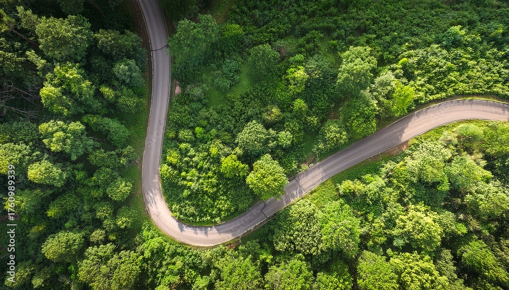 Obraz premium bird s eye perspective of a verdant woodland with a serpentine path highlighting the splendor of nature and sustainable principles through an esg approach