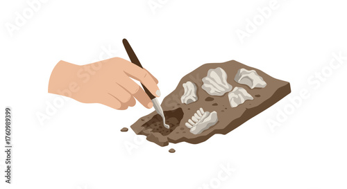 Archaeological excavation of fossils with hand tools on earthy ground