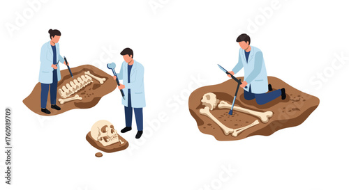 Archaeologists unearth skeletons in isometric style with detailed human bones