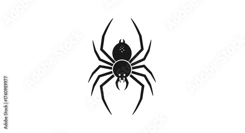 Black and White Spider Illustration with Detailed Legs and Body.