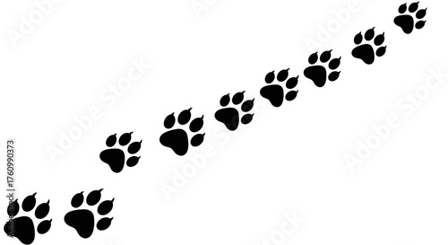 A series of animal paw prints are shown in a diagonal line across a white surface, suggesting a path.