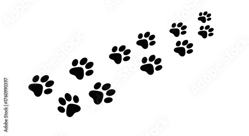 A series of black paw prints going diagonally across a white surface, indicating movement or a path.