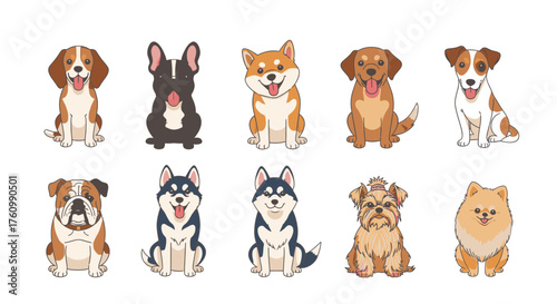 A collection of ten adorable cartoon dog breeds are sitting down and smiling on a white surface.