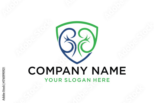 Abstract Kidney Health Logo Design in Shield. Blue and Green Organic Shapes for Medical, Nephrology, or Wellness Company Branding.