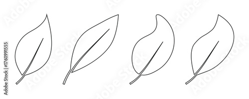 leaf plant sprout icon sign vector