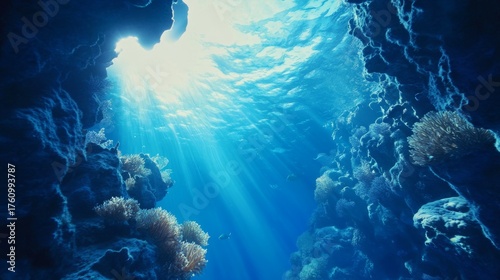 Coral reef. Animals of the underwater sea world. Ecosystem. Colorful tropical fish.