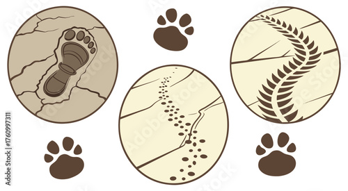 Footprints and Paw Prints in Cracked Earth Ovals Keywords: footprint, paw print, animal track