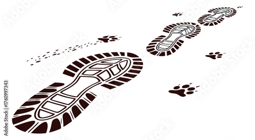 Footprints and paw prints on a white background animal
