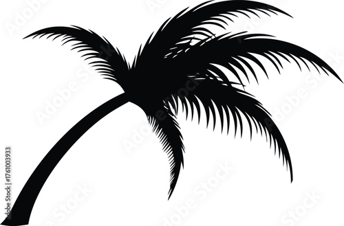 Silhouette of a palm tree a tropical vector illustration isolated on white background for summer vacation designs
