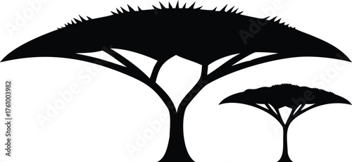 Silhouette of two acacia trees minimalist vector illustration perfect for logo design and environmental themes