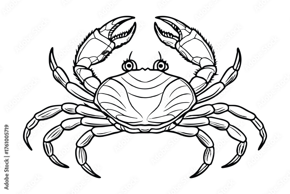Obraz premium Crab Line Art Illustration | Sea Animal Outline Drawing Design
