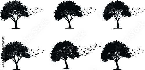 Tree silhouettes with flying birds, nature vector art, freedom illustration, black forest graphics, dynamic foliage design, seasonal tree shapes, symbolic woodland decor