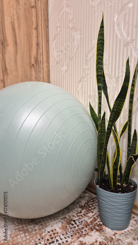 Indoor Yoga Equipment with Plant