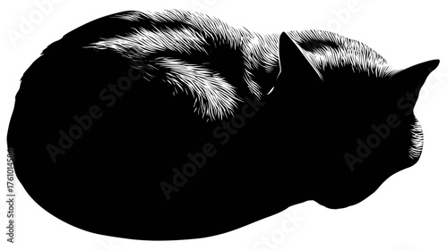 A solid black silhouette of a cat curled up in a perfect circle, sleeping peacefully.