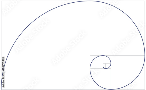 Fibonacci spiral grid. vector illustration