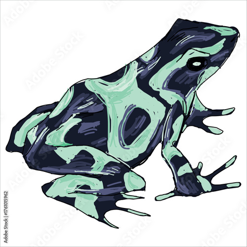 Green auratus dart frog. Dendrobates. Bright, stylized, hand-drawn vector illustration. Print for stickers, mugs, posters, and sketchbooks.