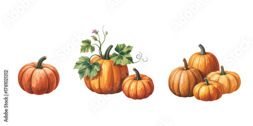 Watercolor illustration of a variety of pumpkins and gourds with green leaves on a white background