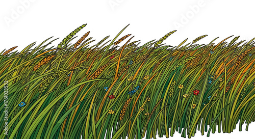 Vibrant Field of Golden Wheat Stalks and Wildflowers Dancing in the Breeze Under a White Sky