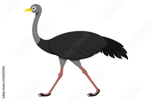 Ostrich Bird Vector Illustration – African Wildlife Flightless Animal Design