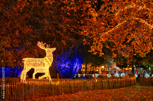 Photography Christmas markets in Vienna, beautiful light decorations in the park Rathaus