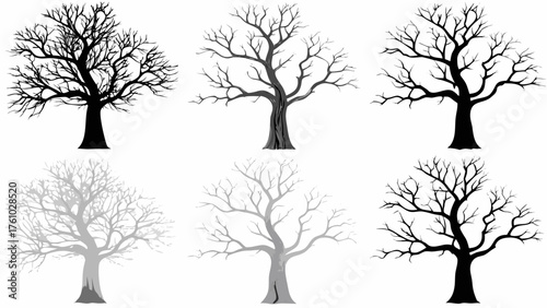 Striking bare trees in silhouette and grayscale, offering versatile design elements for seasonal and conceptual projects, evoking nature's stark beauty.