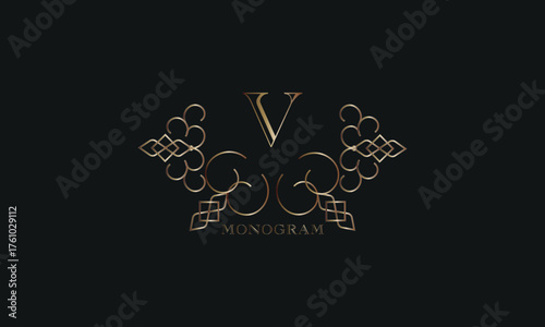 Vector elegant element for design template, place for text with initial letter V. Lace decor for greeting card, invitation, label, business sign.