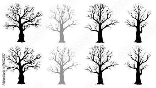 Striking bare winter trees in silhouette offer a starkly beautiful graphic element for seasonal design projects