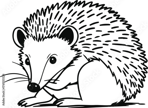 Hedgehog curled up, minimal contour lines, hand-drawn aesthetic 2