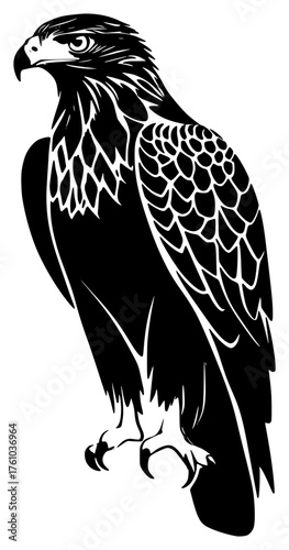 buzzard on a transparent background, bird, black, drawing, eagle, silhouette 