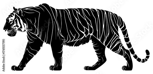 tiger on a transparent background, abstract, black, drawing, line, silhouette, tiger 