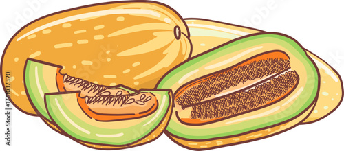 Fresh Thai Melon Fruit Illustration