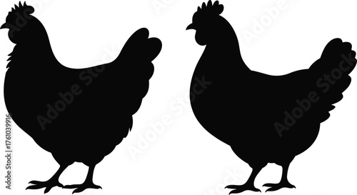 Black silhouette chicken farm animal graphic collection