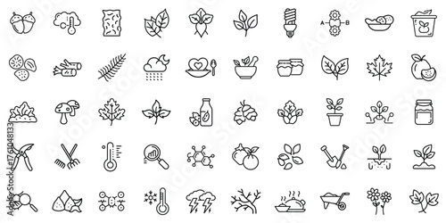 A collection of hand-drawn botanical and nature icons showcasing diverse elements of agriculture.