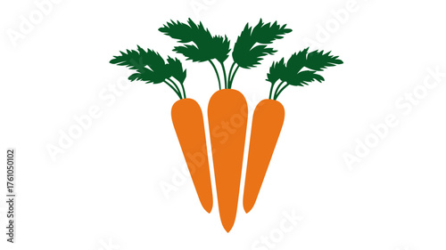 Vibrant three fresh orange carrots with green leafy tops, healthy food vegetable illustration on white background