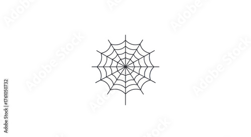 Detailed Black and White Spider Web Illustration.
