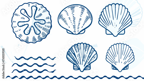 Hand drawn seashells and ocean waves create a stylish, nautical themed design element for summer projects