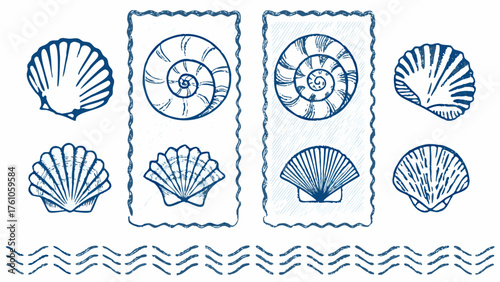 Beautiful nautical seashell collection with hand drawn style perfect for coastal designs and seaside themes