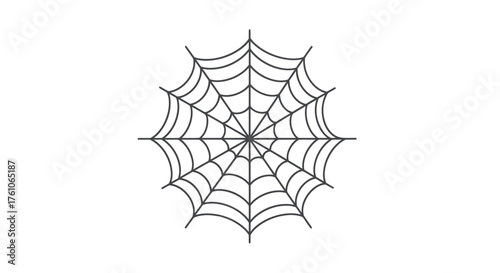 Detailed Spiderweb Illustration with Radial Symmetry and Intricate Design.