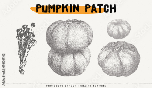 Pumpkins and herbs vector illustration. Trendy stippling photocopy effect