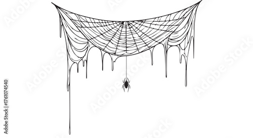 A black and white illustration of a spider web with a spider hanging from it, isolated on transparent background