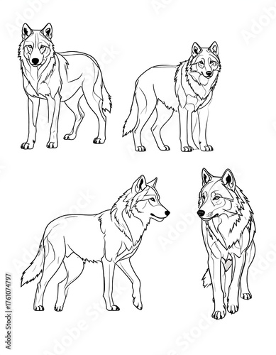 Four black and white wolf line drawings